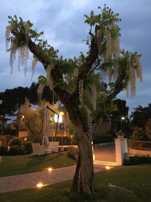 Hotel Mauro - Sirmione