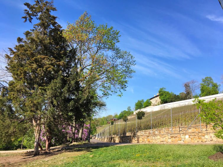 Grebovka - Rekreační dům - Česká republika, Praha/10