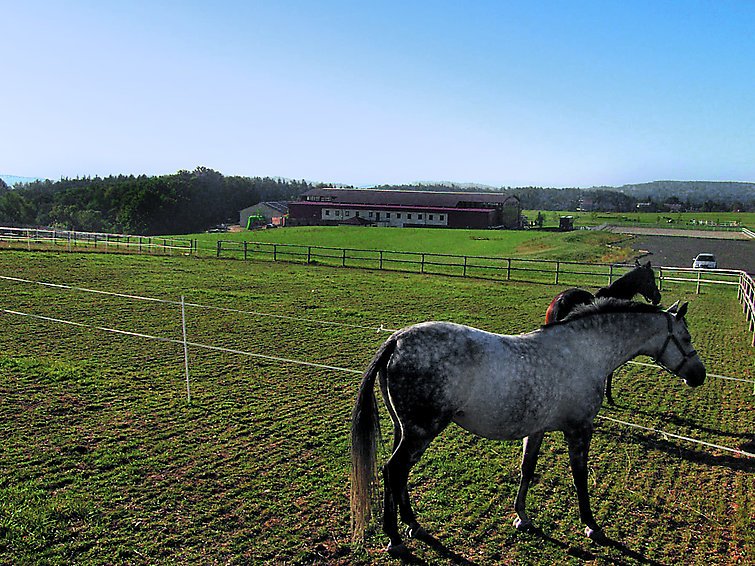 Petříkov - Rekreační dům - Česká republika, Říčany