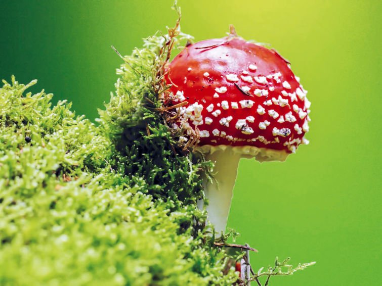 Hetlín - Rekreační dům - Česká republika, Kutná Hora