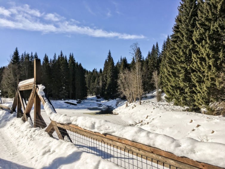 Srní - Rekreační dům - Česká republika, Srní