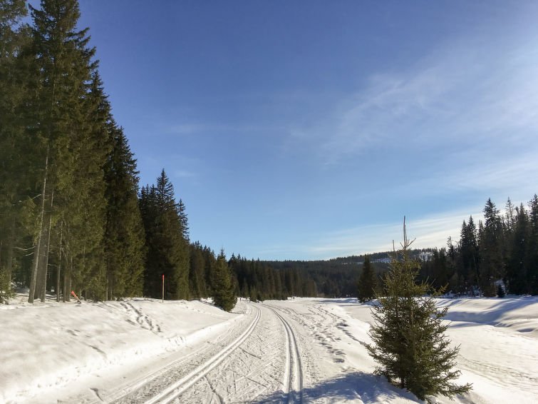 Srní - Rekreační dům - Česká republika, Srní