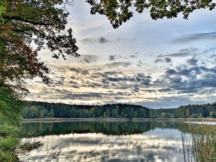 Cosy tiny house - Rekreační dům - Česká republika, Písek