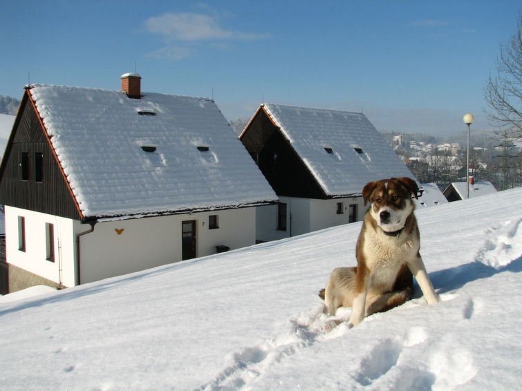Stárkov - Rekreační dům - Česká republika, Stárkov