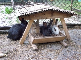 Stárkov - Rekreační dům - Česká republika, Stárkov Stárkov - Rekreační dům - Česká republika, Stárkov