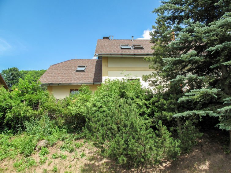 Winter Apartment - Rekreační dům - Česká republika, Vrchlabí