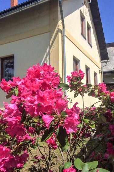 Winter Apartment - Rekreační dům - Česká republika, Vrchlabí