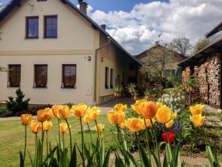 Winter Apartment - Rekreační dům - Česká republika, Vrchlabí Winter Apartment - Rekreační dům - Česká republika, Vrchlabí