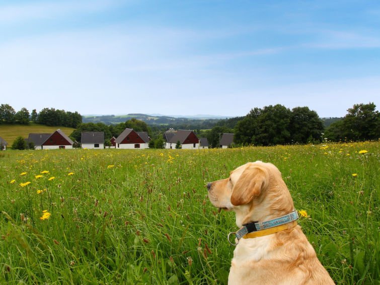 Čistá - Rekreační dům - Česká republika, Černý Důl/Čistá