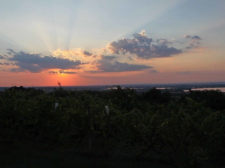 Horni Vestonice - Rekreační dům - Česká republika, Horní Věstonice