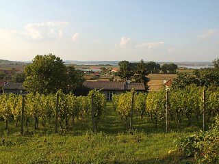 Milovice - Rekreační dům - Česká republika, Lednice na Moravě Milovice - Rekreační dům - Česká republika, Lednice na Moravě