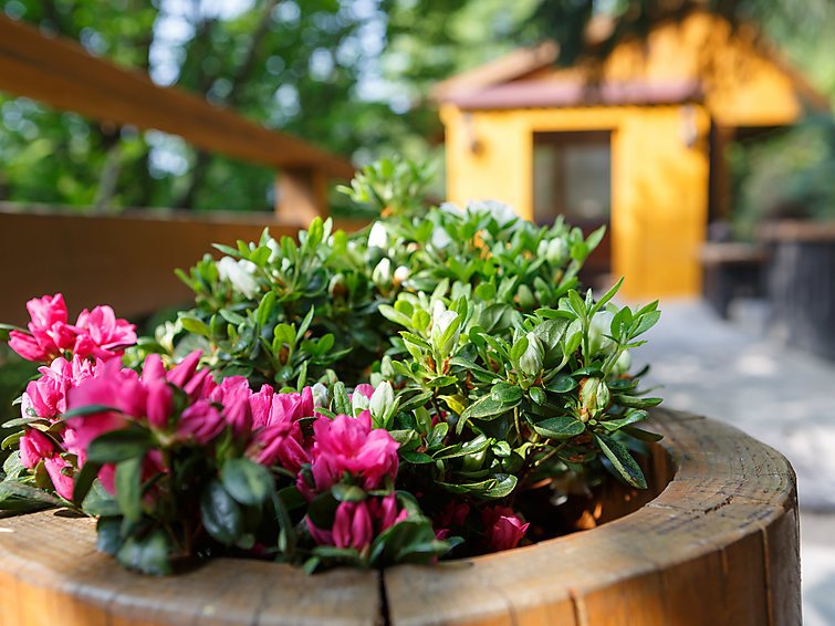 Malenovice - Rekreační dům - Česká republika, Ostravice