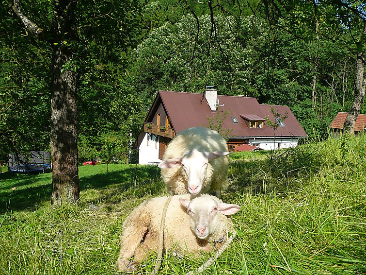 Janová - Rekreační dům - Česká republika, Valašská Bystřice
