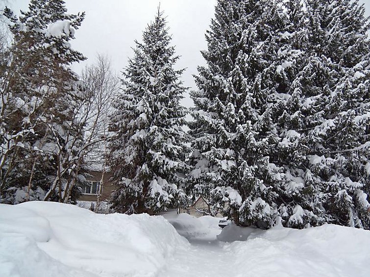 Horni Becva - Rekreační dům - Česká republika, Horní Bečva