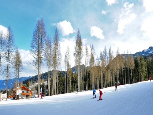 Agriturismo La Regina Dei Prati - Masi di Cavalese