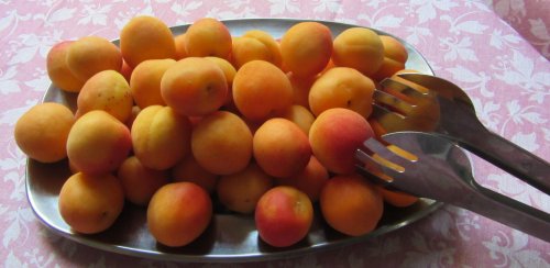 Hotel Villa Nanni- Rivazurra di Rimini