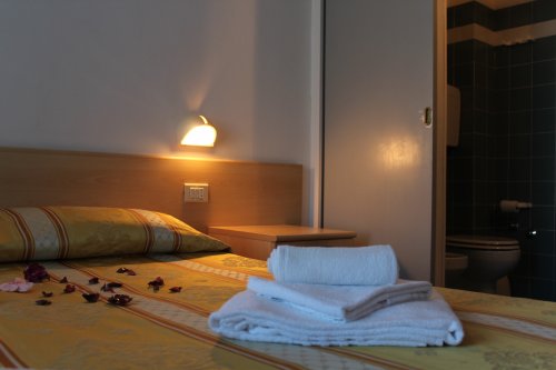 Hotel New Primula- Rimini