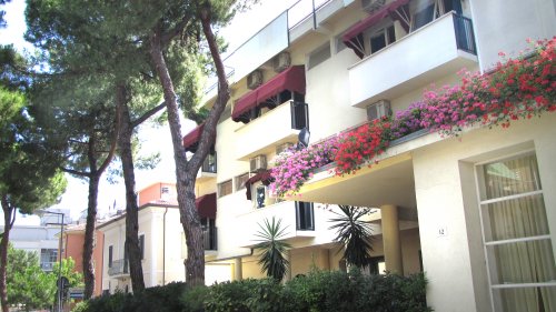 Hotel New Primula- Rimini