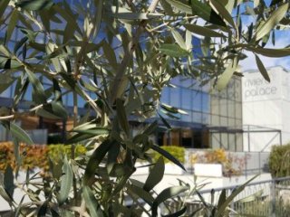 Residence Riviera Palace - Loano Residence Riviera Palace - Loano