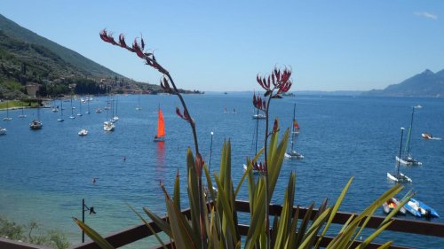 Hotel Rosa - Malcesine