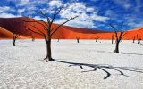 Katalog zájezdů - Namíbie, Pohodový týden - Pouští a pralesem k Viktoriiným vodopádům
