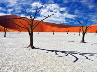 Namibie, Zimbabwe, Zambie, Botswana - Pohodový týden - Pouští a pralesem k Viktoriiným vodopádům - Botswana, Namíbie, Zambie, Zimbabwe - Poznávací zájezdy