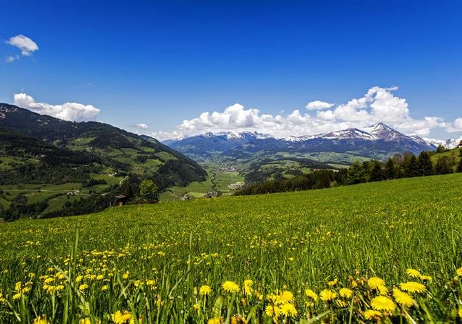 Camping Bella Austria