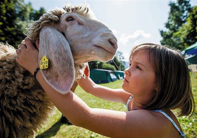 Camping Bella Austria