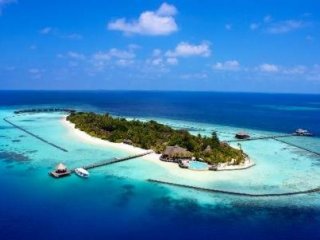 COCOON MALDIVES 5