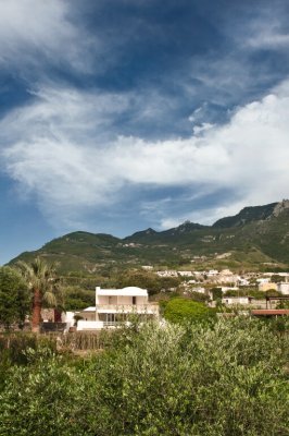 Residence La Palummera - Forio