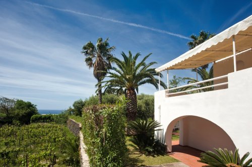 Residence La Palummera - Forio