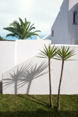 Residence La Palummera - Forio