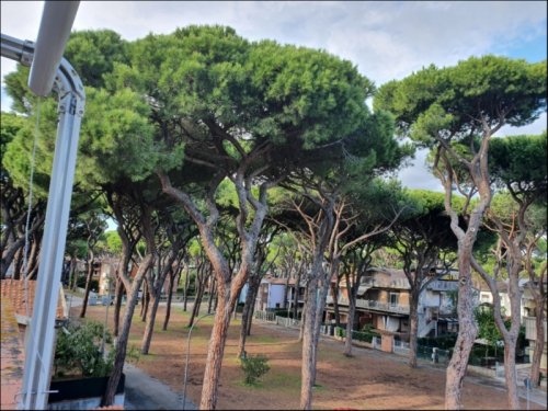 Apartmány STANDARD - Marina di Grosseto