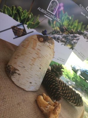 Hotel Milano - Vermiglio