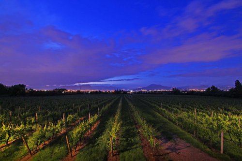 Agritur Cascina Le Preseglie - Desenzano del Garda