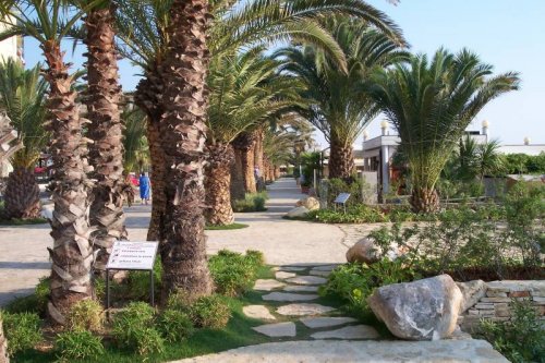 Apartmán Leoncavallo - San Benedetto del Tronto