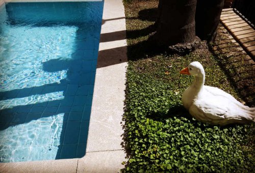 Hotel Corallo - Taormina