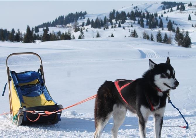 Folgaria/Lavarone - Hotel Al Lago