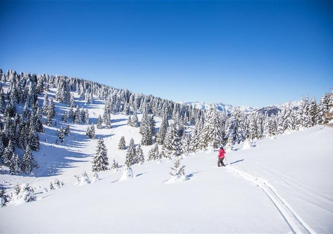Folgaria/Lavarone - Hotel Al Lago