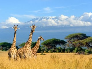 Keňa - po stopách Velké pětky - Poznávací zájezdy