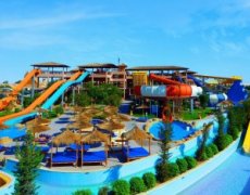 Hotel Pickalbatros Jungle Aqua Park by Neverland