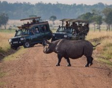 Keňa - Safari v Masai Mara a NP Lake Nakuru s pobytem u moře s all inclusive