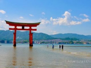 Toulavé Japonsko - Poznávací zájezdy