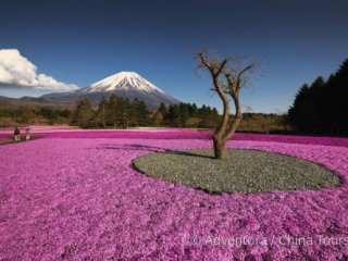 Magická zákoutí Japonska