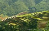 Vietnam – velká cesta