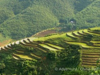 Vietnam – velká cesta