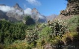 Kanárské ostrovy – Tenerife, La Palma a La Gomera