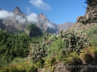 Kanárské ostrovy – Tenerife, La Palma a La Gomera - Poznávací zájezdy