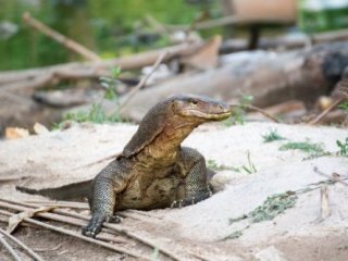 Za exotikou jihovýchodní Asie - Poznávací zájezdy