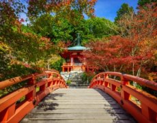 Japonsko